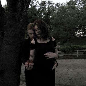 Meet your Posher, Syndle